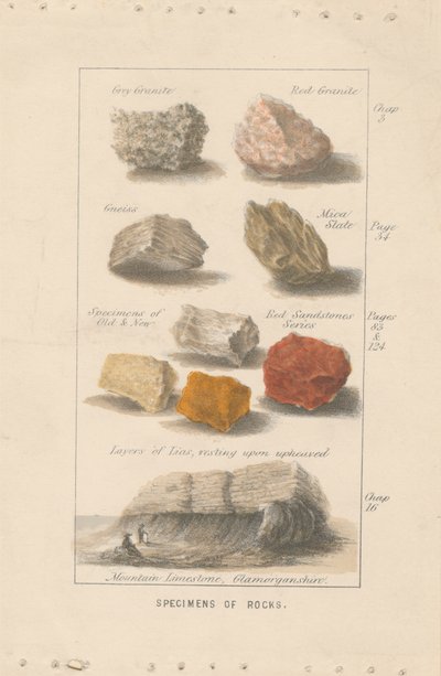Eksemplarer av bergarter. Bevis på en illustrasjon for Wrights 'Globe Prepared for Man'. av Bradshaw and Blacklock