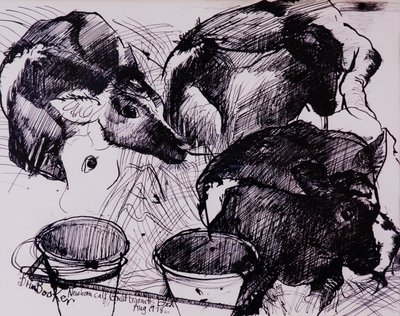 Kalver, fuktige, nyfødte, 1978 av Brenda Brin Booker