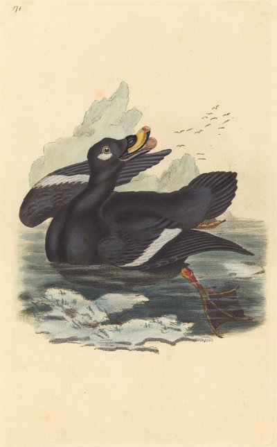 Fløyelsand av British 19th Century
