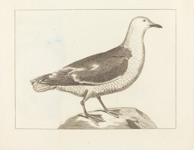Vannfugl av British 19th Century