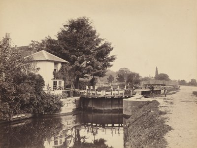  av British Photographer