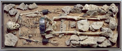Rikt begavet kvinnegrav fra Molzbach bei Huenfeld av Bronze Age