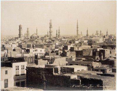 Utsikt over takene i Kairo - fotografi av Zangali-brødrene, sent på 1800-tallet av Brothers Zangaki