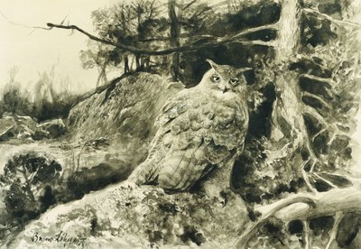 Berguv (Ørneugle) Bubo Bubo av Bruno Andreas Liljefors