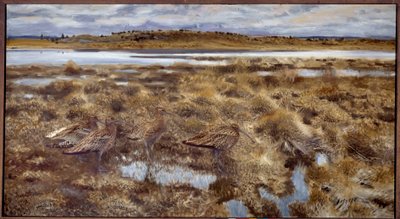 Curlews Fugler i myrene. Maleri av Bruno Andreas Liljefors (1860-1939) 1913 søn. 1,19x2,2 m av Bruno Andreas Liljefors