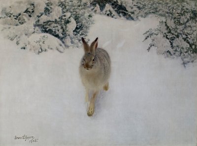 Hare om vinteren av Bruno Andreas Liljefors