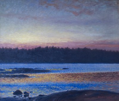  av Bruno Andreas Liljefors