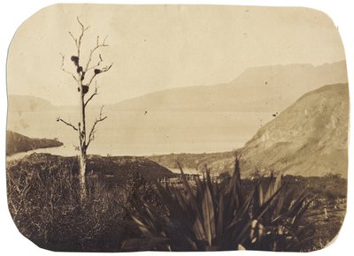 Lake and Mount Tarawera fra Te Wairoa, 1860 (albumtrykk) av Bruno Hamel