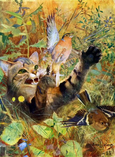 En katt og en bokfink, 1885 1945. av Bruno Andreas Liljefors