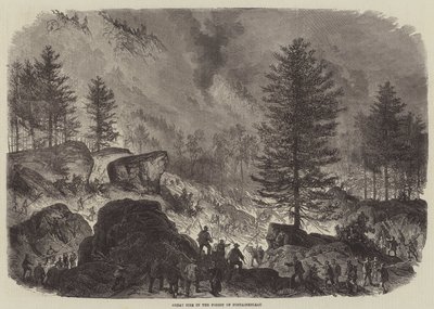 Stor brann i Fontainebleau-skogen av Burn Smeeton