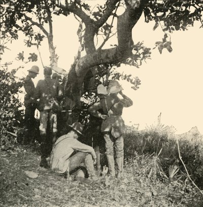 Treet som kaptein Paget...så...San Juan-slaget fra, spansk-amerikansk krig, juni 1898, 1899. av Burr McIntosh