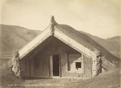 Runanga House - Wairoa - After Eruption 10.86.juni, juli 1886 (albumtrykk) av Burton Brothers Studio