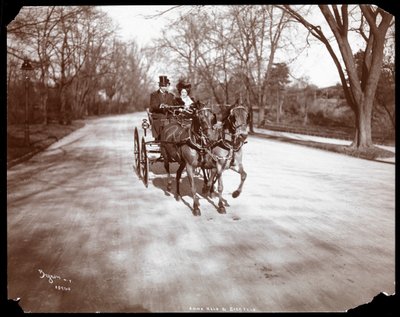 Anna Held og Florenz Ziegfeld kjører en hestevogn, New York, 1904 (sølv gelatintrykk) av Byron Company