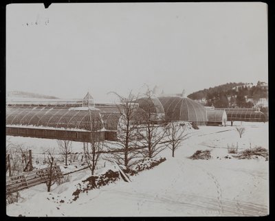 Drivhusene i snøen på Helen Gould-eiendommen (sen Jay Gould-residens) i Tarrytown, New York, 1894 (sølvgelatintrykk) av Byron Company