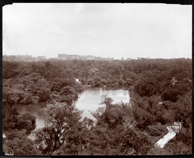 Utsikt over Central Park fra Plaza Hotel, 5th Avenue og 59th Street, New York, 1907 (sølv gelatintrykk) av Byron Company