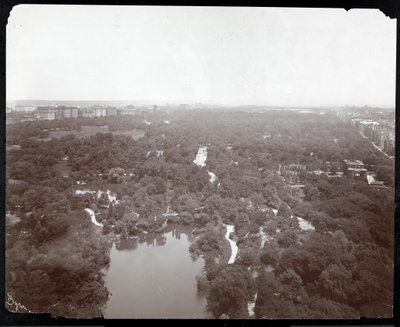 Utsikt over Central Park fra Plaza Hotel, 5th Avenue og 59th Street, New York, ca. 1907 (sølv gelatintrykk) av Byron Company