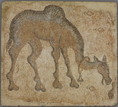 Mosaikkfragment med beitende kamel av Byzantine