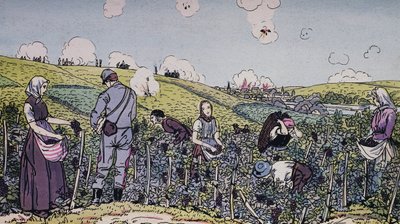 Våre vinbønder høstet under ild, innhøstingen i Champagne-regionen i 1914, første verdenskrig, Frankrike, 1900-tallet av J.B. and Brown J. Rowbotham