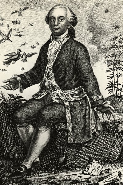 Portrett av Georges-Louis Leclerc de Buffon (1707-1788), fransk naturforsker og matematiker, gravering av J.B. and Brown J. Rowbotham