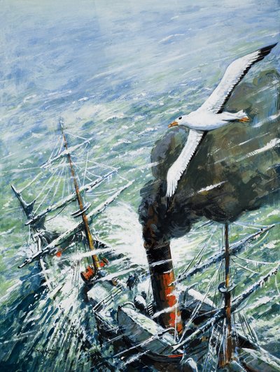  av C.L. Doughty