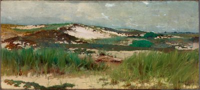 av C. Morgan McIlhenney