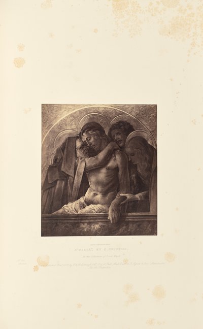  av Caldesi and Montecchi