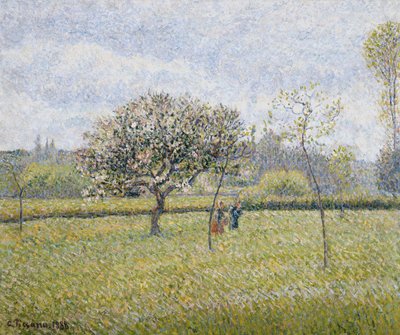 Epletre i blomst på Eragny; Pommier en Fleur a Eragny, 1888 av Camille Jacob Pissarro