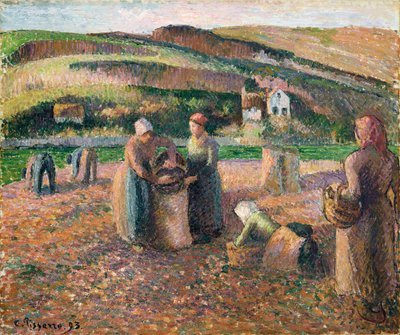 Potetplukking, 1893 av Camille Jacob Pissarro