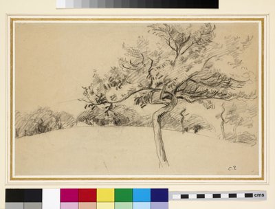 Studie av frukthagen ved Eragny-sur-Epte med et tre i forgrunnen (svart kritt på papir) av Camille Jacob Pissarro