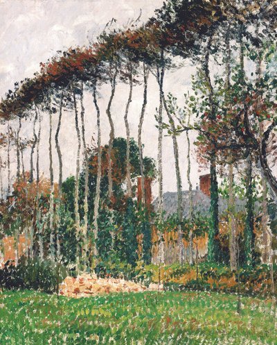 Fransk: Les grands hêtres à Varengeville Tysk: De store bøkene i Varengeville av Camille Pissarro