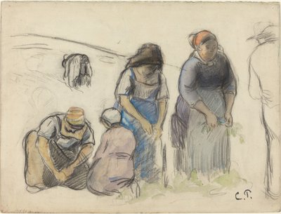 Ertehøstere [recto], ca. 1880. av Camille Pissarro
