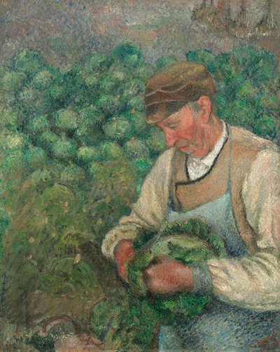Gartneren - Gammel bonde med kål, 1883-1895. av Camille Pissarro