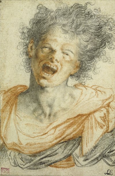 En ung mann som skyter; En skrikende ung mann av Camillo Procaccini