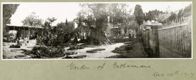 Getsemane hage, 14. desember 1917 av Capt. Arthur Rhodes