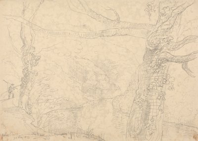 Holne Chase, 30. mai 1833 av Capt. Thomas Hastings