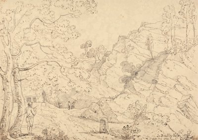 I Bradley Vale, mai 1833 av Capt. Thomas Hastings