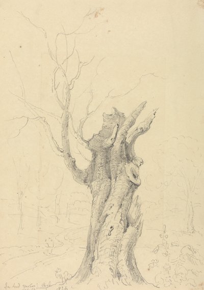 I Lord Yarborough's Park, Appuldurcombe, Isle of Wight av Capt. Thomas Hastings