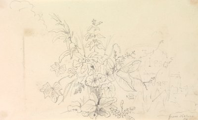 Skisse av planter og en milepæl fra naturen, 3. juni 1826 av Capt. Thomas Hastings