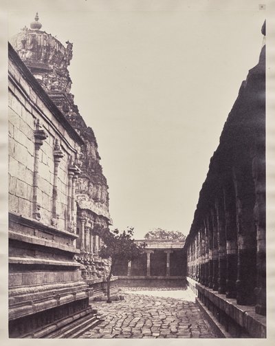 Perumal Temple Vimana fra Corner of Court, Madurai av Captain Linnaeus Tripe