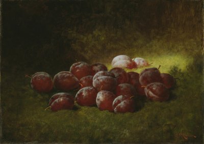 Lilla plommer av Carducius Plantagenet Ream