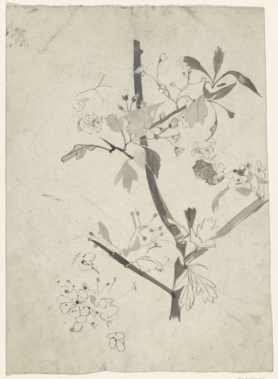 Gren med blomst av Carel Adolph Lion Cachet
