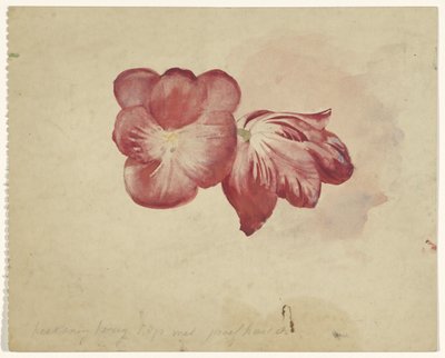 To røde tulipaner av Carel Adolph Lion Cachet