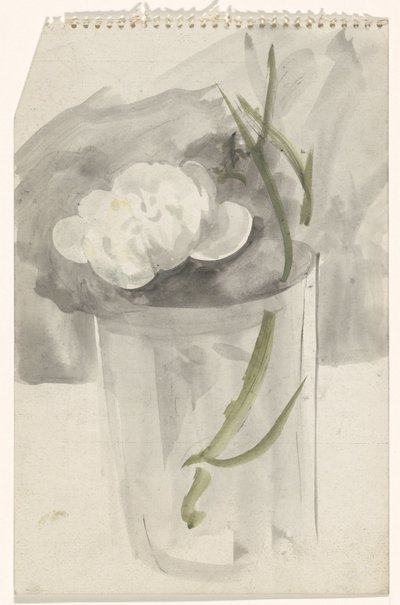 Hvit blomst i et glass av Carel Adolph Lion Cachet
