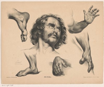Hodet til en mann, føtter, hender og armer Pictura (serietittel på objekt) av Carel Christiaan Antony Last