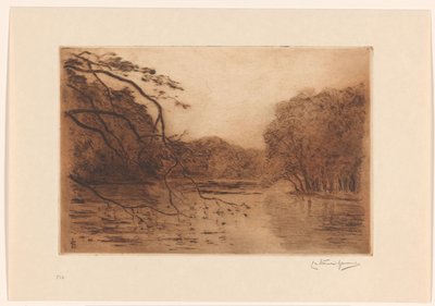 Dam i Haagse Bos av Carel Nicolaas Storm van 