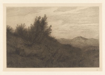 sanddynelandskap Les dunes på Zandvoort (original tittel) av Carel Nicolaas Storm van 