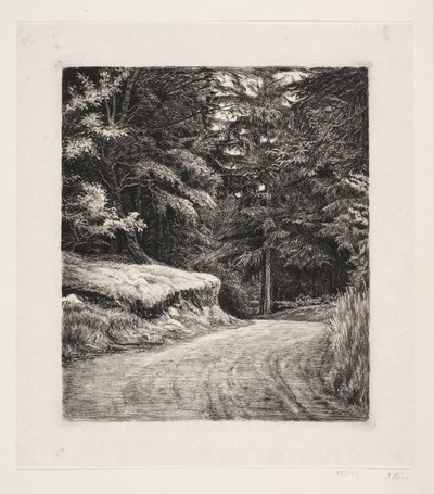 Veien i Granskoven av Carl Bloch