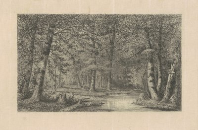 Bøkeskog av Carl C. Brenner