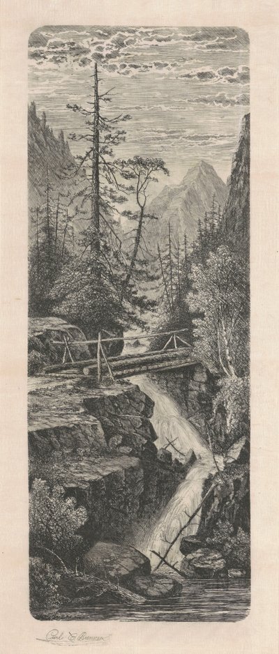 Foss, Rocky Mountains av Carl C. Brenner