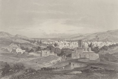 Elver i Damaskus av Carl Friedrich Heinrich Werner